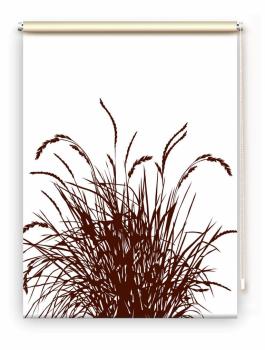 Rollo Reed24 coffee  blanco, Rollo, Motivrollo, Rollo mit Druck, Fotorollo, bedrucktes Rollo, Fensterrollo,verdunkelndes Rollo, Sonnenschutz Rollo